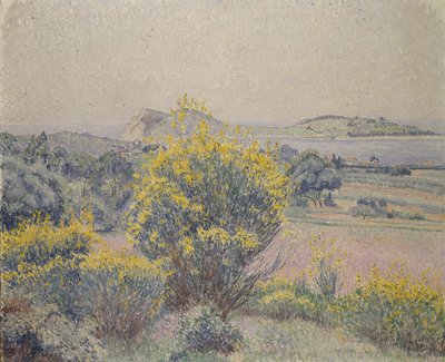 Broom, Le Brusq, 1925 by Lucien Pissarro
